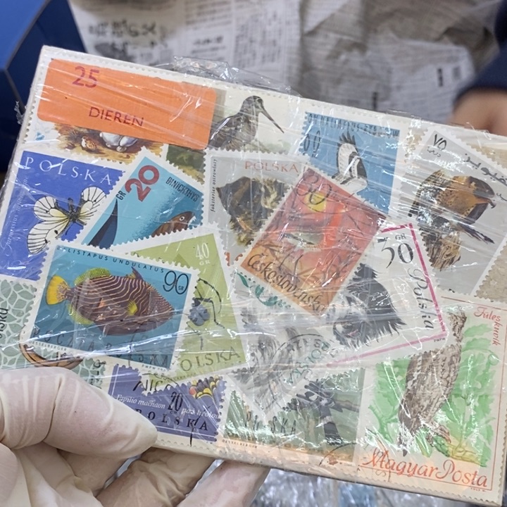 瓷片哦哦哦哦哦哦哦哦哦哦