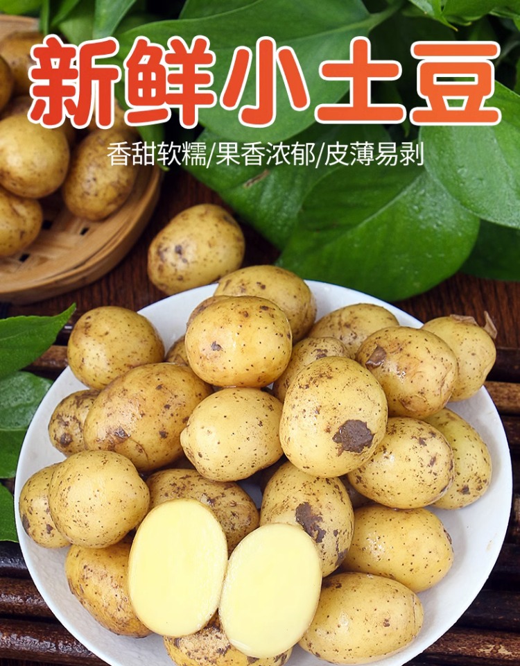 T湖北黄心黄皮迷你小土豆包邮新鲜现挖农家马铃薯洋芋