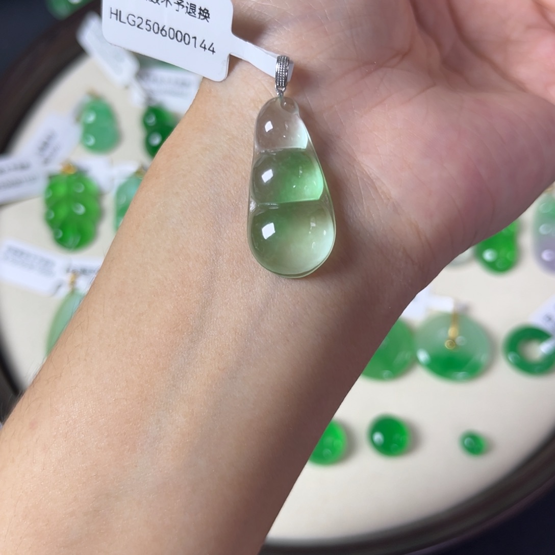 齐***燕福豆直播编号Y0144