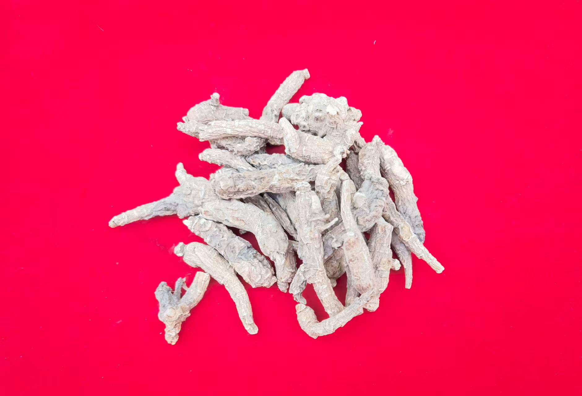 2【野-西-洋-参】净含量：250g-500g【阿徐现收】