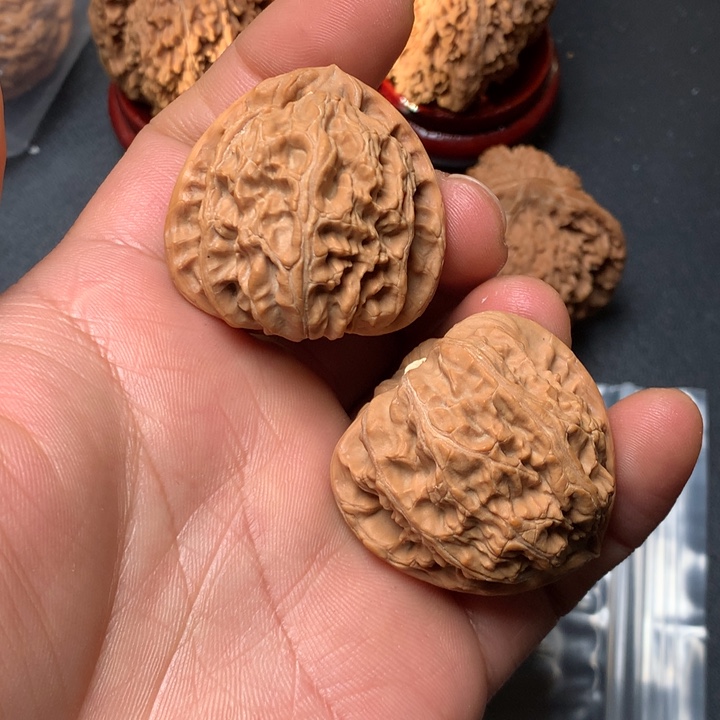 文玩核桃把件38白狮子998