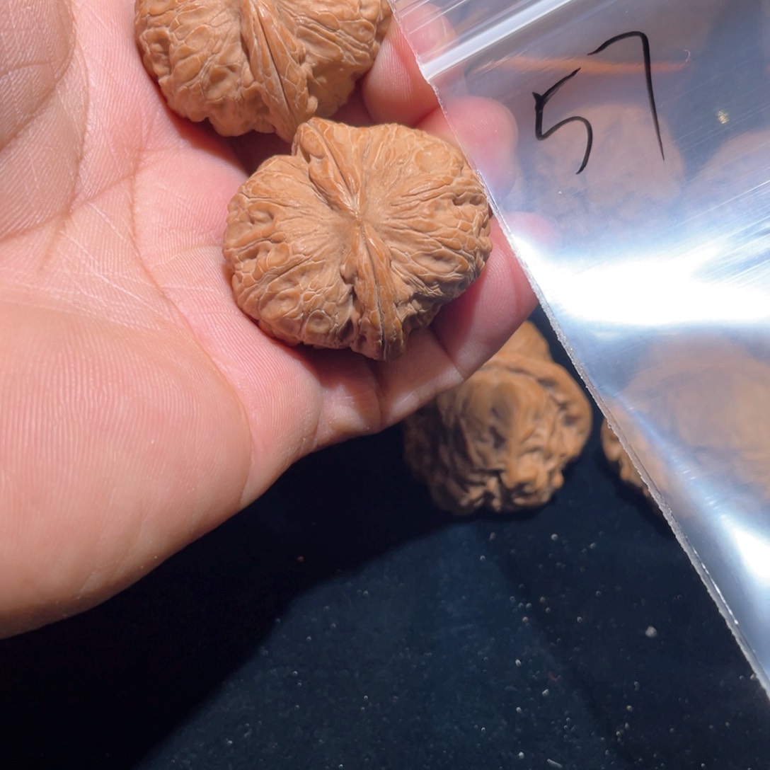 文玩核桃把件M****p元宝