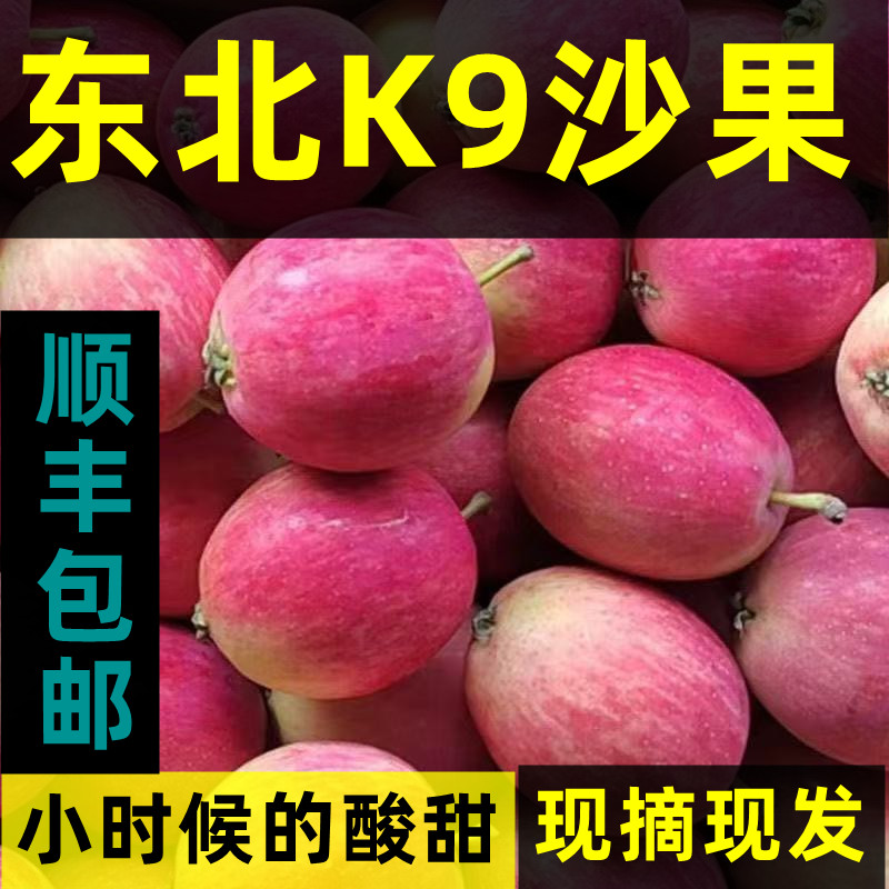 【顺丰速发】正宗东北K9小沙果新鲜水果当季海棠果孕妇脆甜小苹果