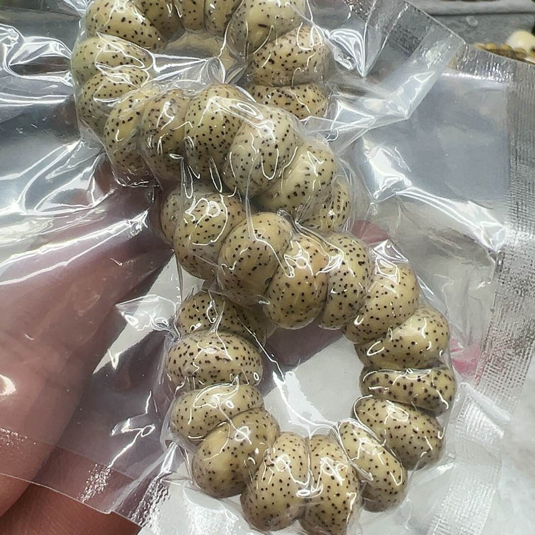 星月菩提手串25傲世黄星月菩提单圈大肠1.3