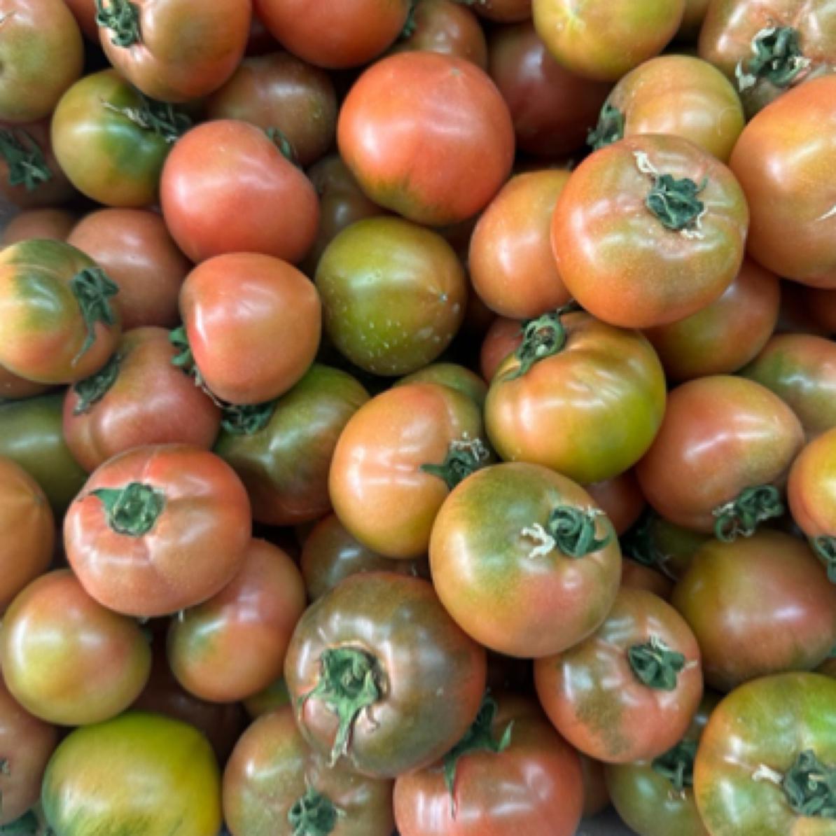 本地酸甜口草莓柿子