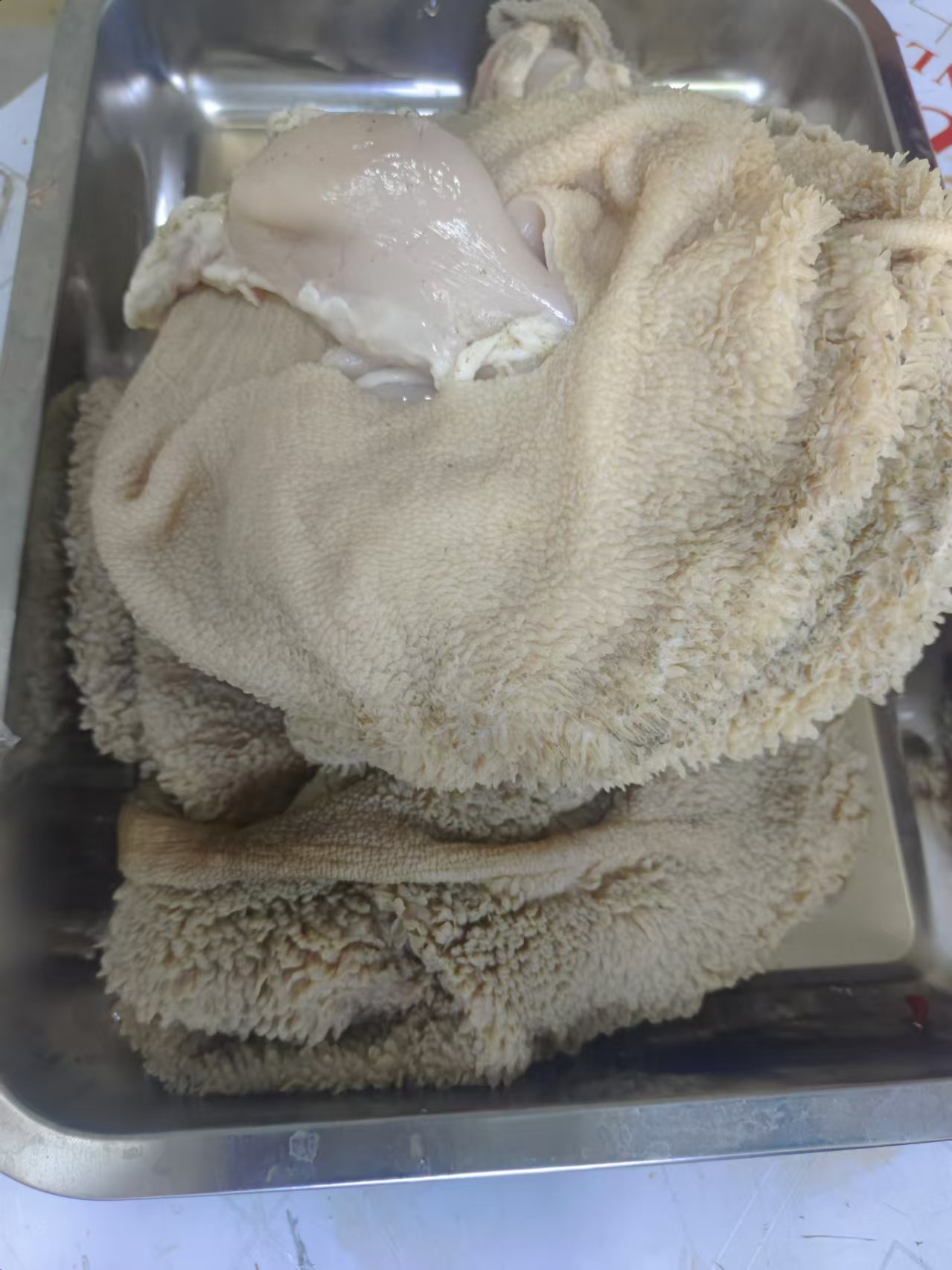 农村散养羊新鲜生羊肚美味食材