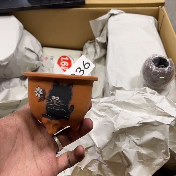 茶宠我们都在努力着呢