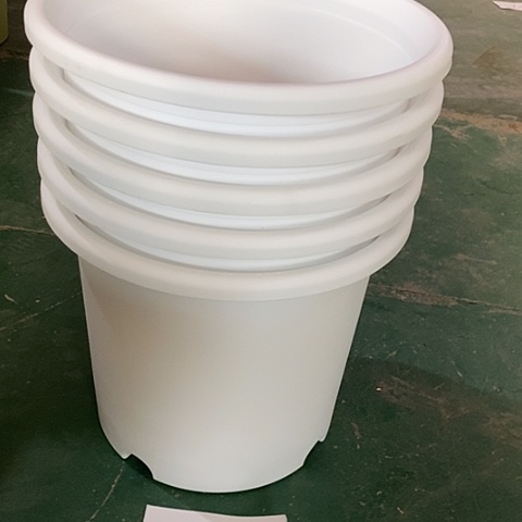 树脂无*编号编号5046