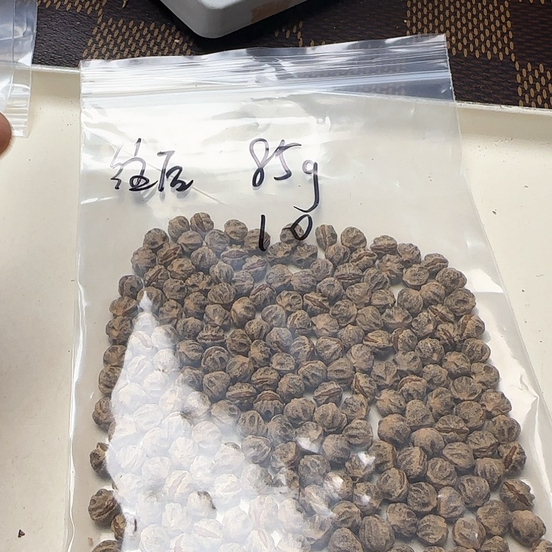 往***6柏香籽/百香籽吊坠