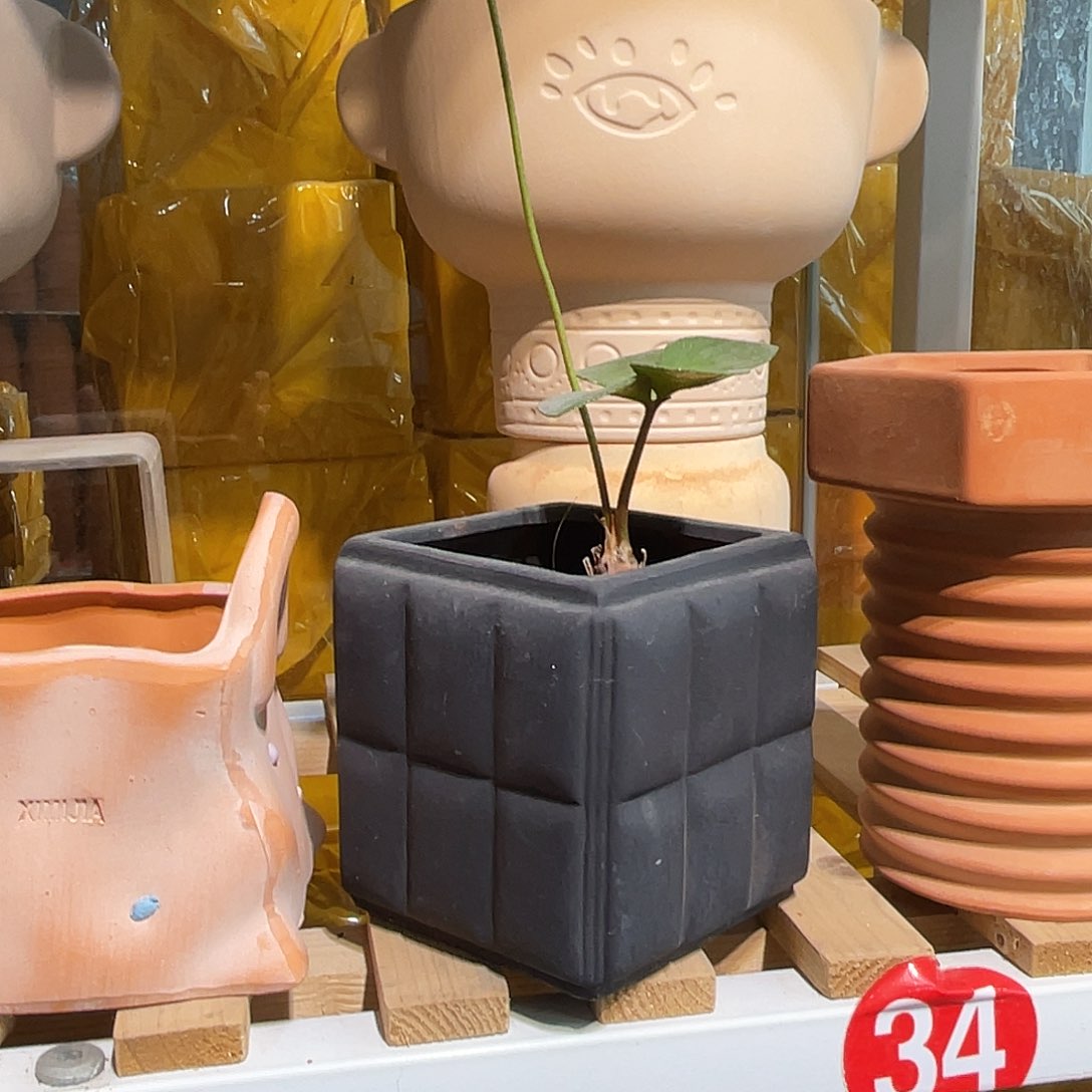 红陶10.5×10.5花盆一个