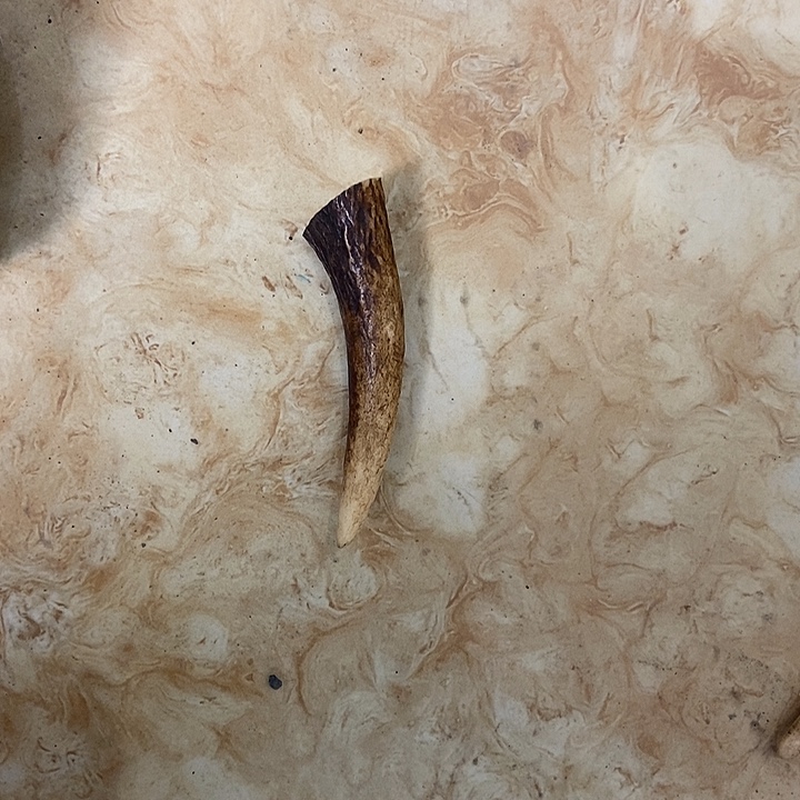 甜***圈大叶紫檀（黑酸枝木类）