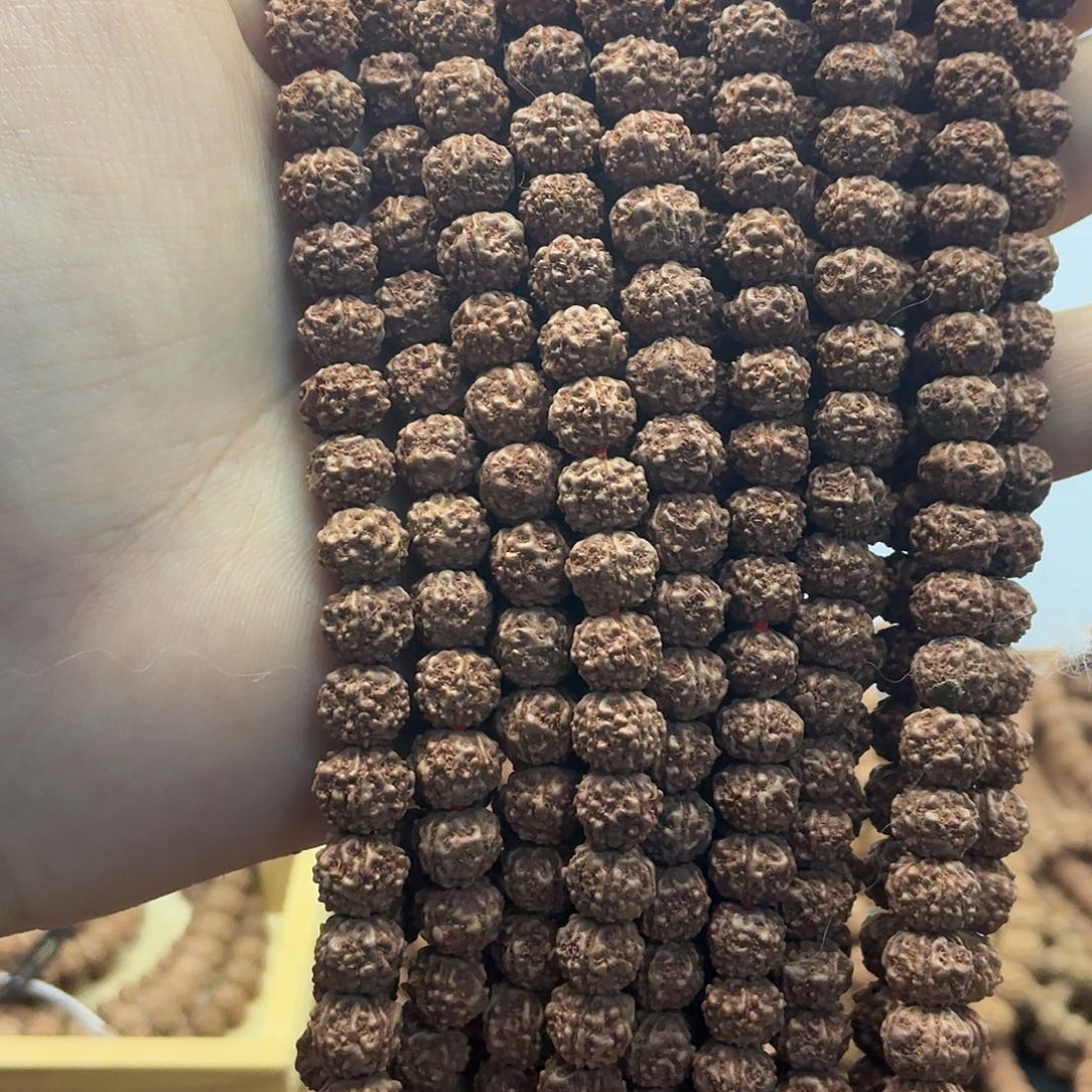 吊坠金刚菩提红海虾，一条保手持