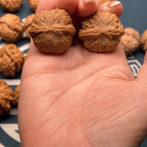 橄榄核手串/手链康熙磨32