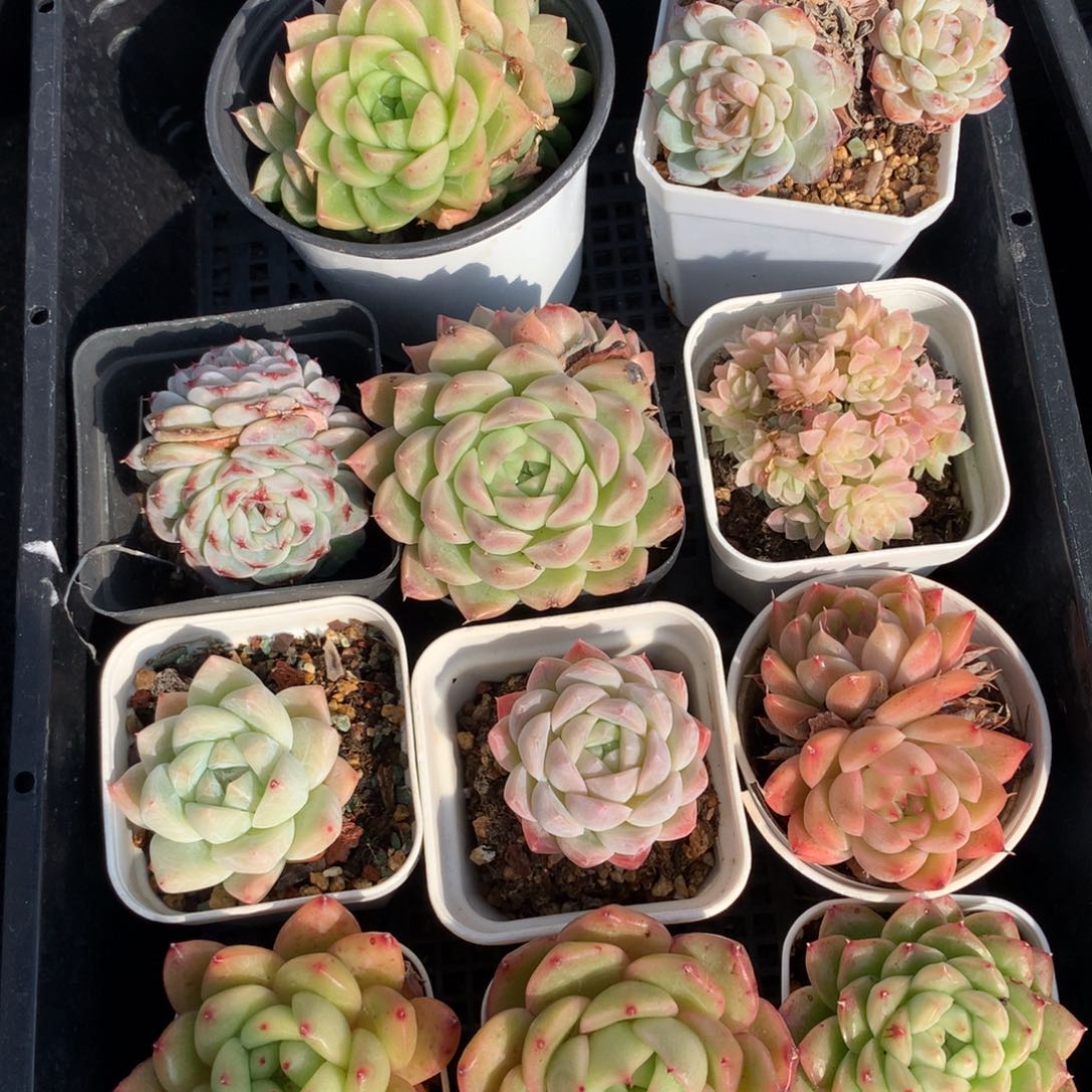 1221-17 套餐一组