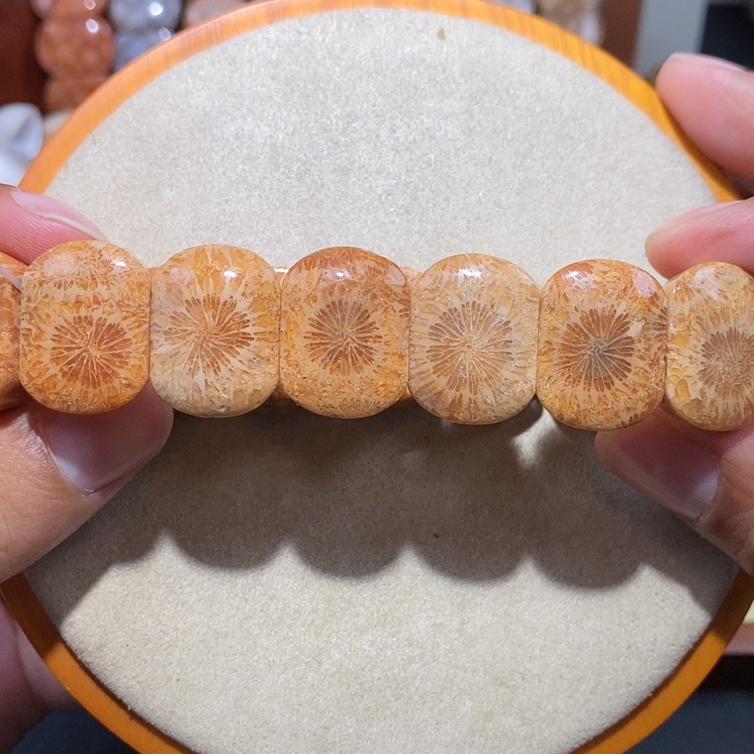 硅化珊瑚（珊瑚玉）手串未镶嵌赞比大花73