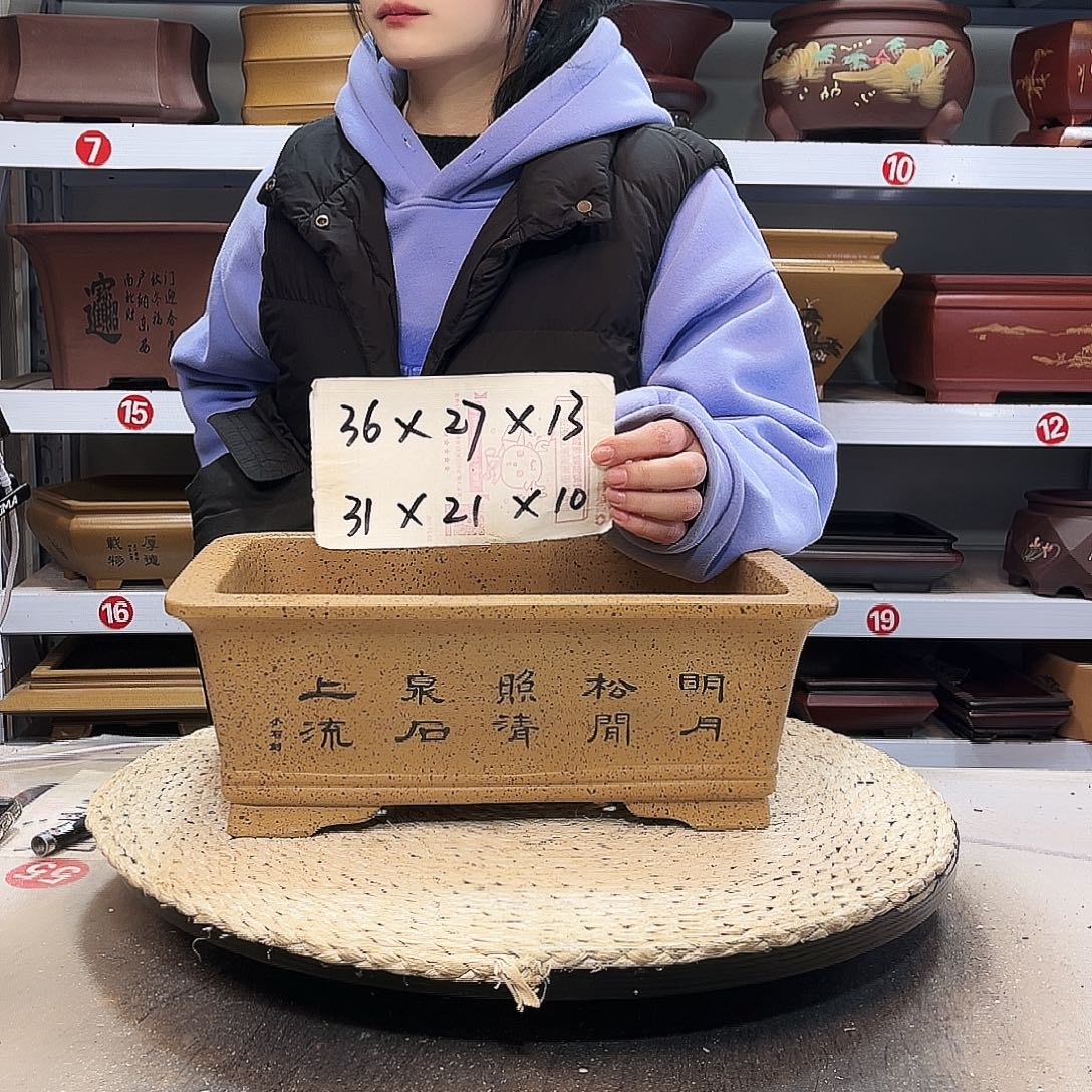 紫砂花盆紫砂花盆里