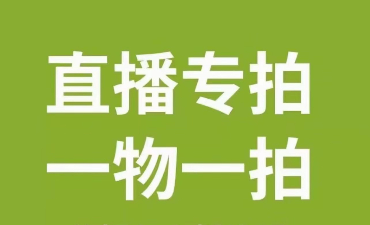 【一物一怕-蝴蝶兰】美式风 意式极简 原木风  室内高端鲜花 送礼