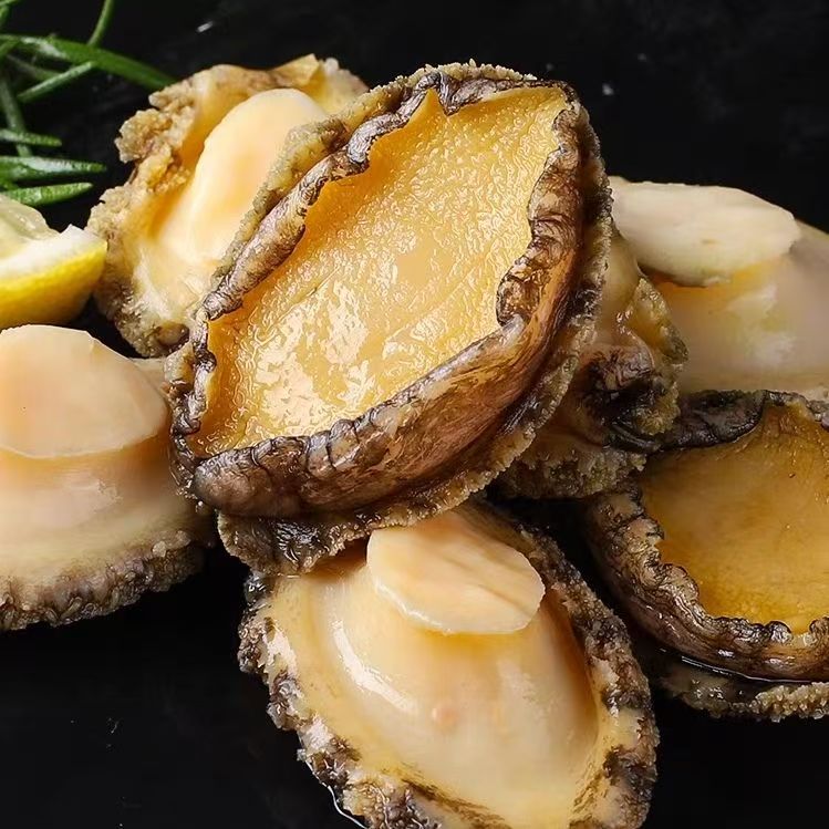 30只装/500克袋海捕鲍鱼鲜活速冻肉质鲜嫩顺丰冷链海鲜水产鲍鱼肉