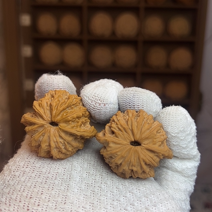 一***饼文玩核桃吊坠水龙纹