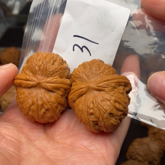 桃核吊坠光**者31平谷元宝