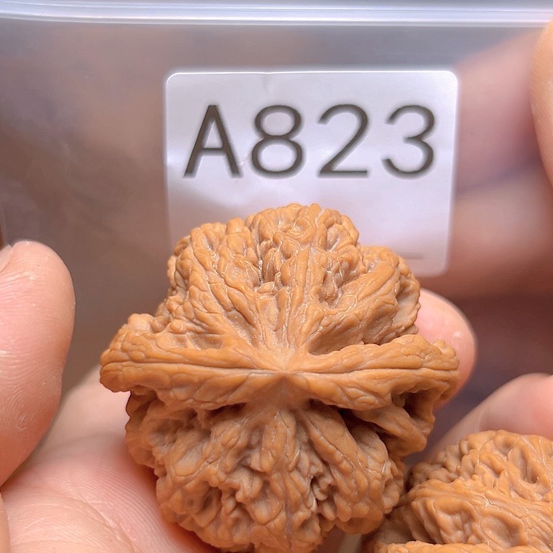 文玩核桃吊坠43大粗筋