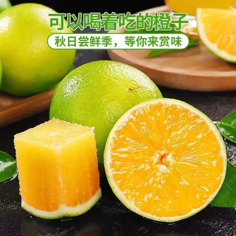 【次日达】云南高山冰糖橙当季新鲜水果现摘果冻橙手剥甜橙蜜桔哀牢山橙子云南省