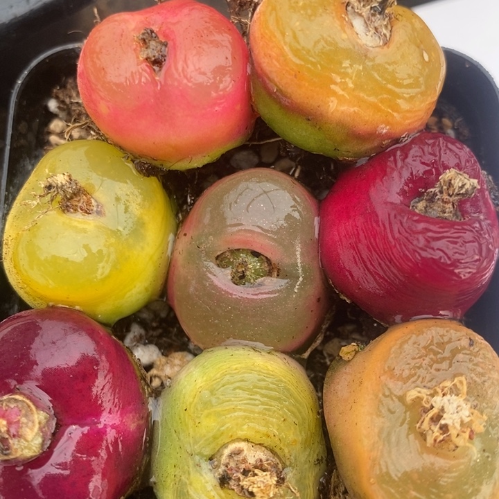 2341一组一组一组