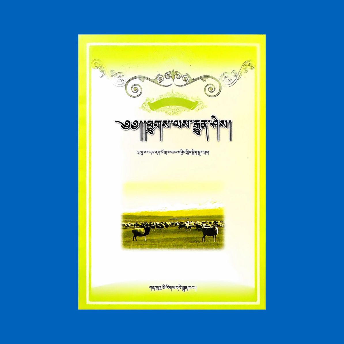 畜病诊断学 兽医专业参考书籍