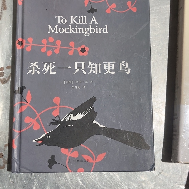 知更鸟新书推荐全新精装
