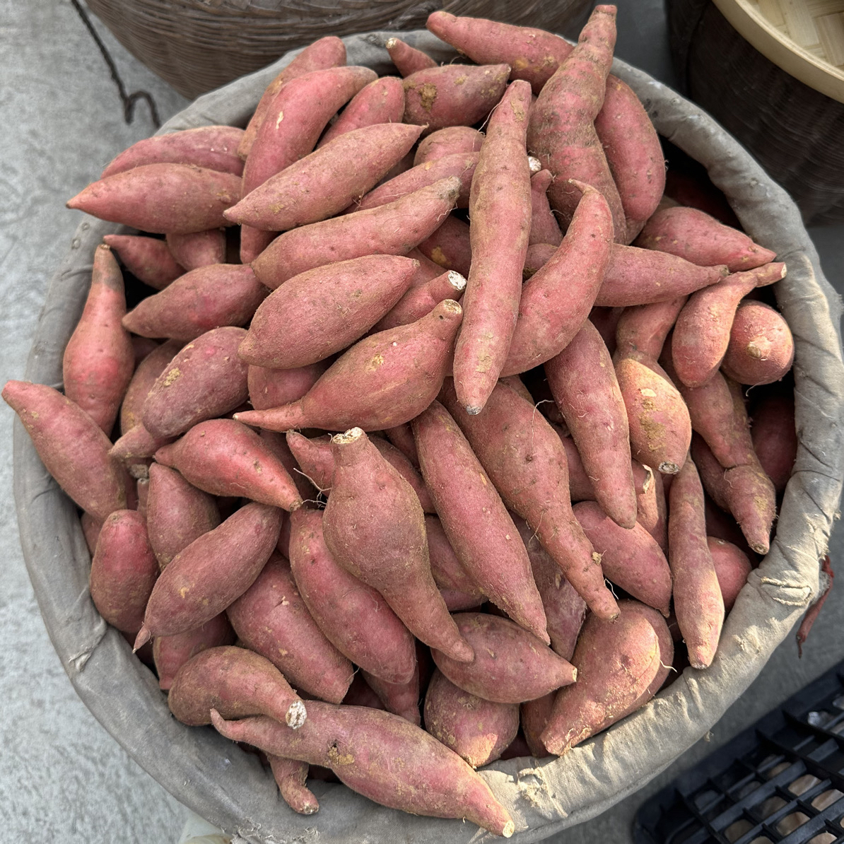 贵州新鲜现挖老品种小红薯密薯