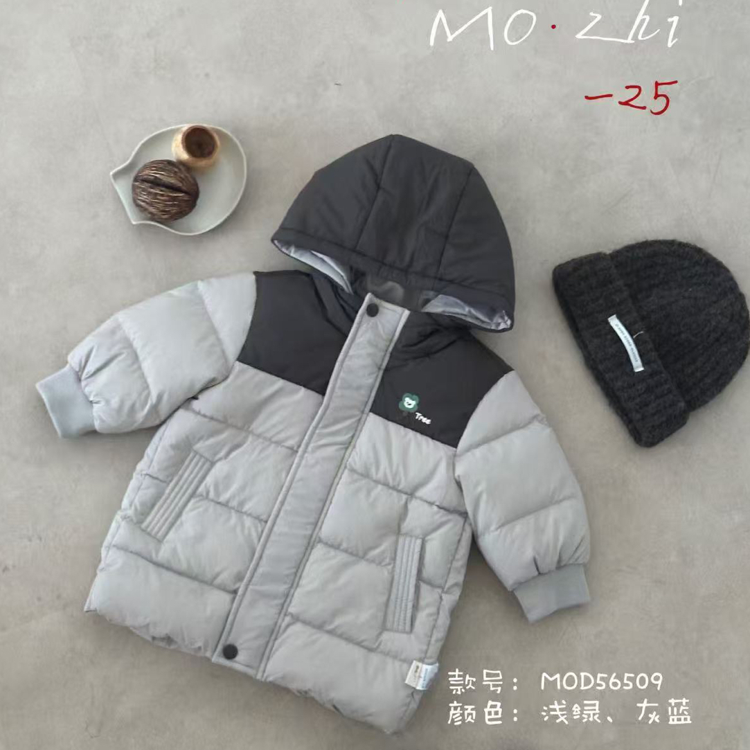 56509-MZ小树木羽绒外套