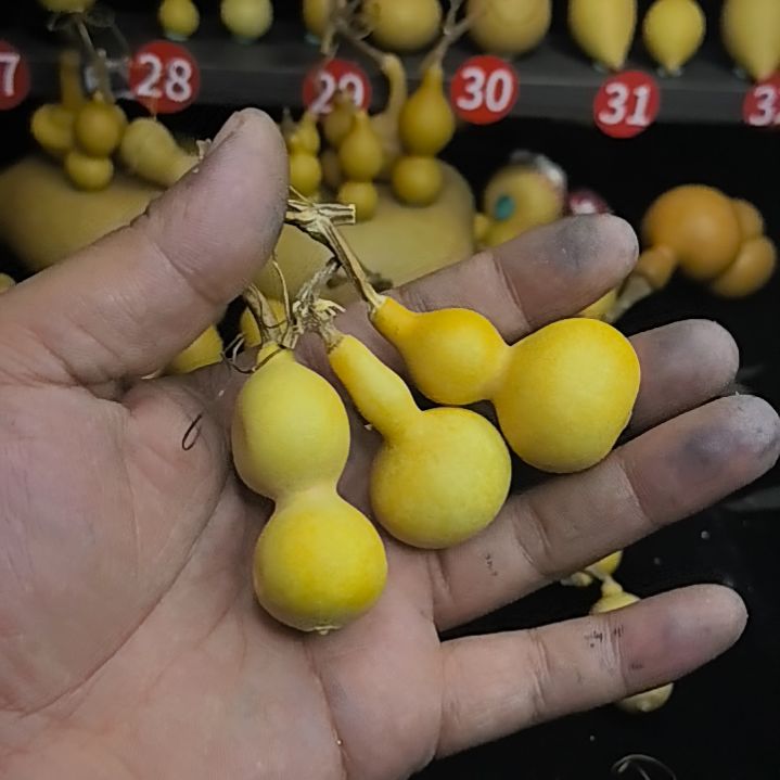 23号葫芦链接，默认微瑕