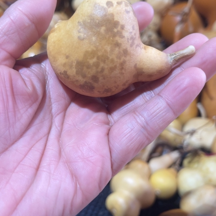 赵***天葫芦哈哈哈哈哈哈哈哈