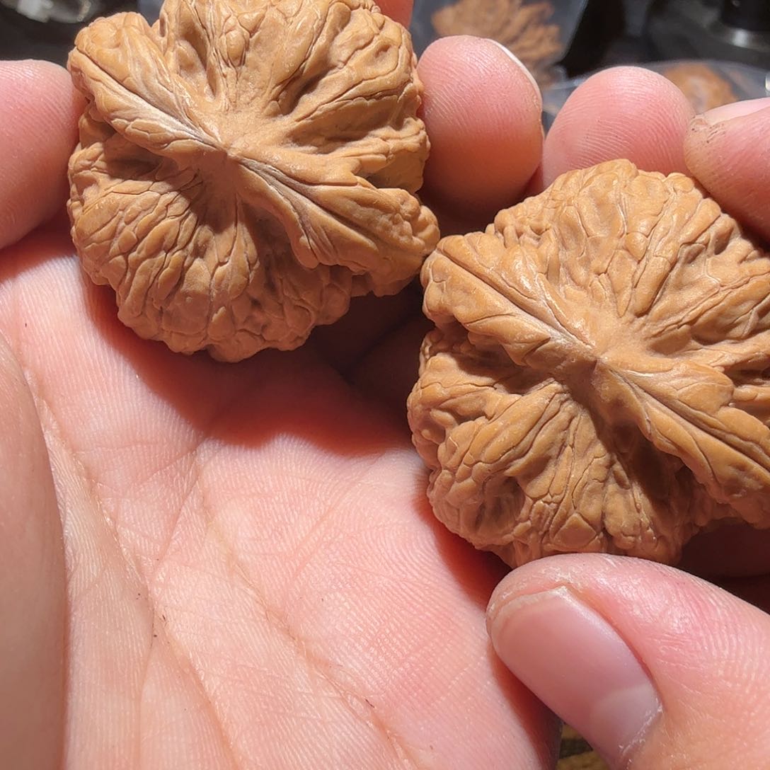 文玩核桃把件红锦鲤