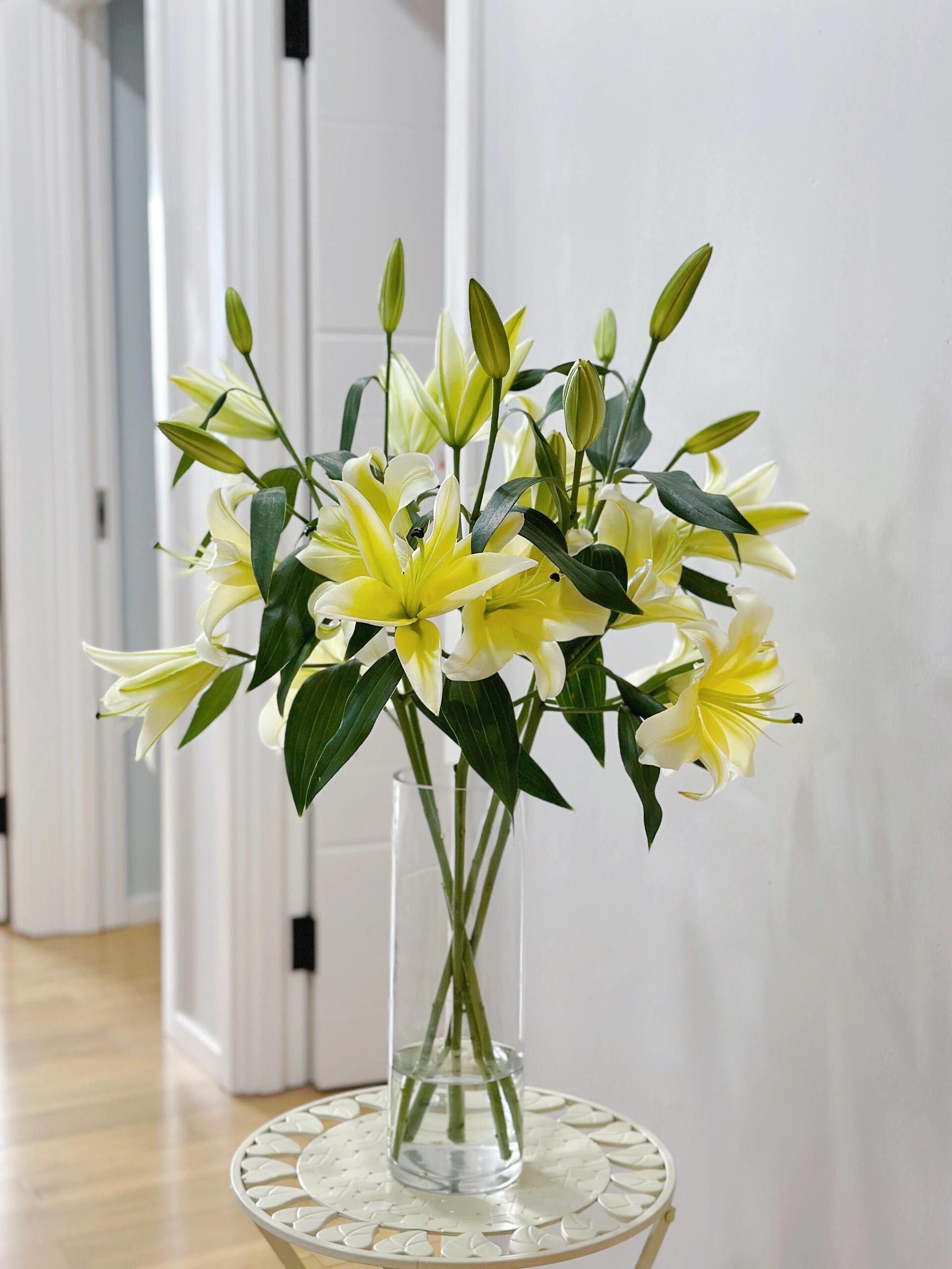 九公主【黄色香水百合】鲜花 百合花 基地直发 发货后不支持仅退款