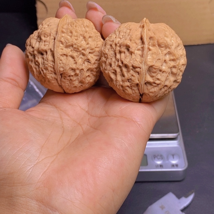 把件文玩核桃   Y5