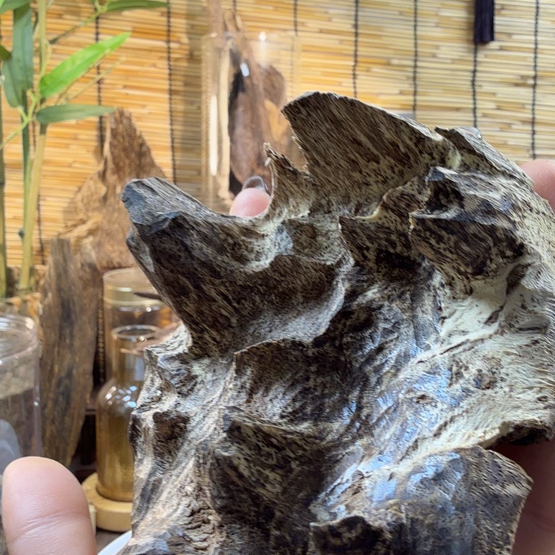 沉香沉香碎屑沉香老顶30g