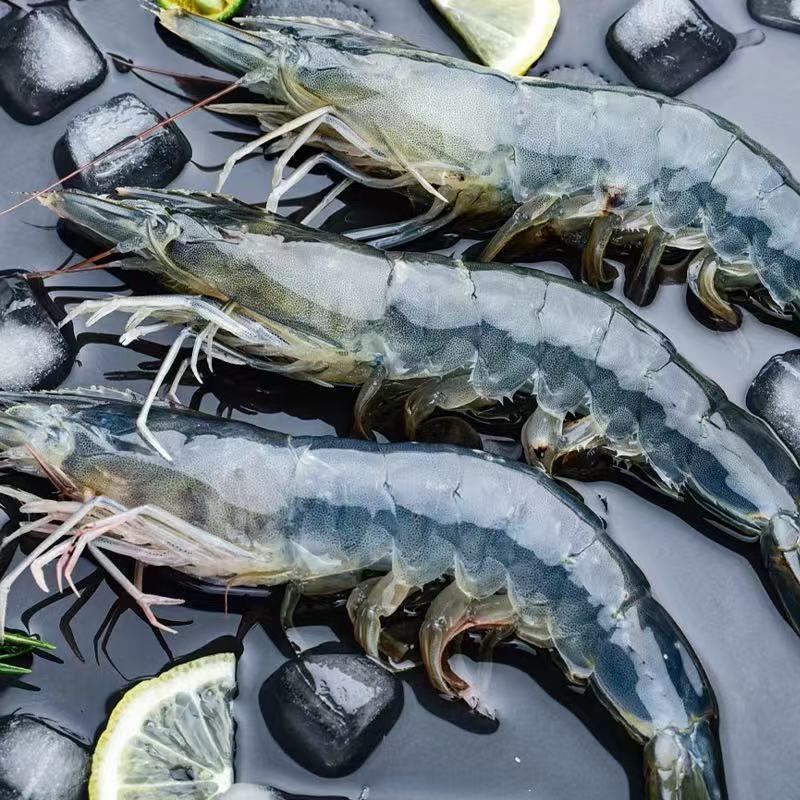 20-30 1斤10-15只左右速冻锁鲜发货3斤送1斤到手4斤13-16cm左右 宝宝辅食首选 顺丰冷链次日达 6.3