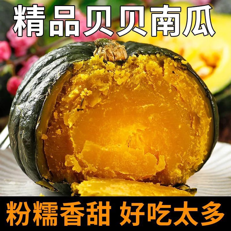 正宗贝贝南瓜粉糯香甜板栗味粗粮代餐宝宝辅食小南瓜