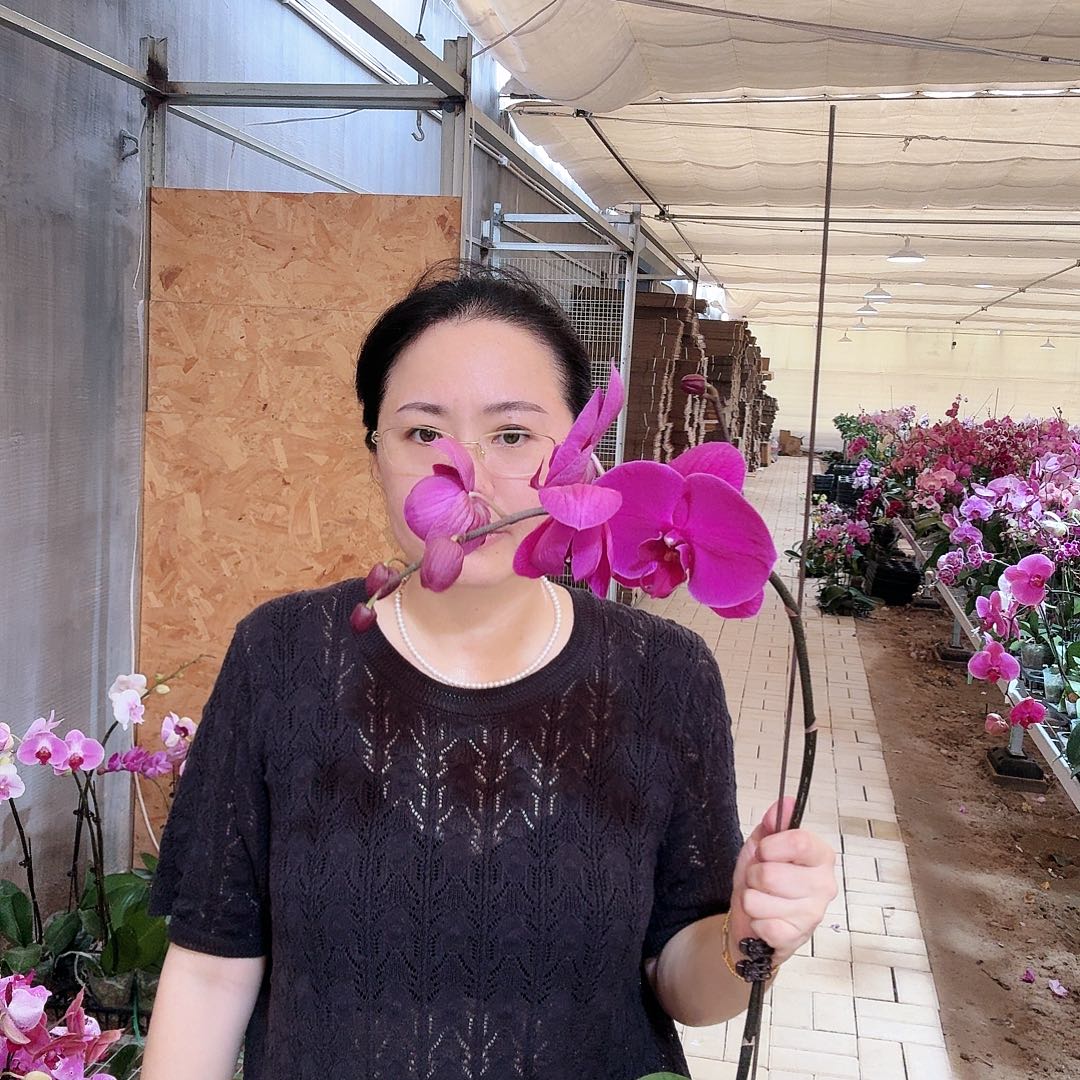 大部分开放少量花苞大辣椒3.51颗