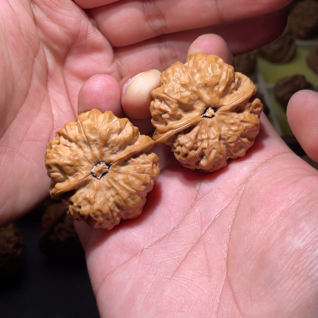 起***…文玩核桃把件40延庆蛤蟆头