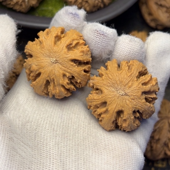 文玩核桃把件秦岭核桃7