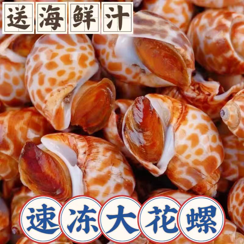 【速冻花螺】 速冻大号花螺 钉螺 蟹钳 送麻辣海鲜汁
