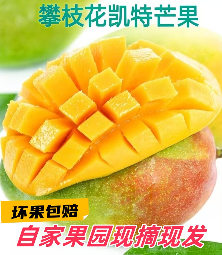 精品凯特绿芒果四川攀枝花新鲜水果采摘优质营养肉厚攀枝花