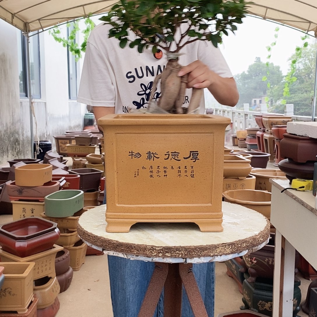 花盆紫砂紫砂花盆