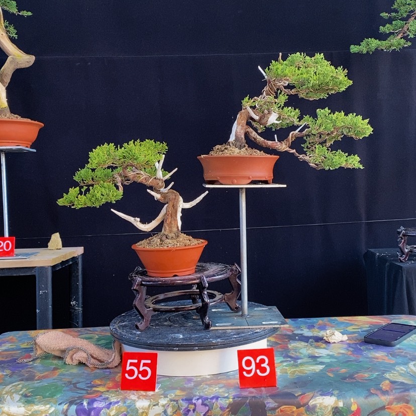 【闪购商品】完全开放用****6