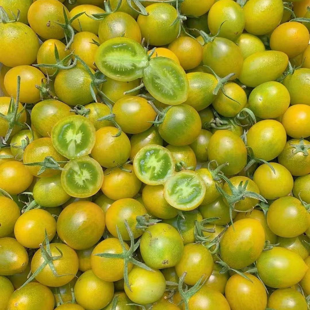 【果真不错】青番茄，一口爆汁，清甜多汁绿色樱桃小番茄湖北省