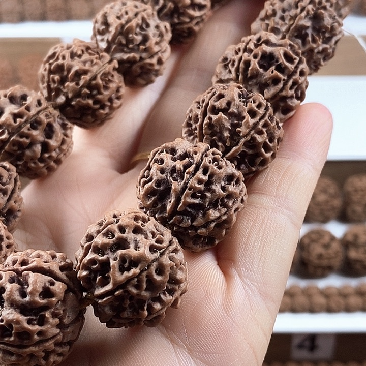 手串金刚菩提原生态6瓣大粗筋