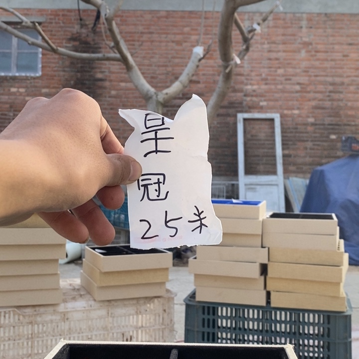 吊坠文玩核桃福利