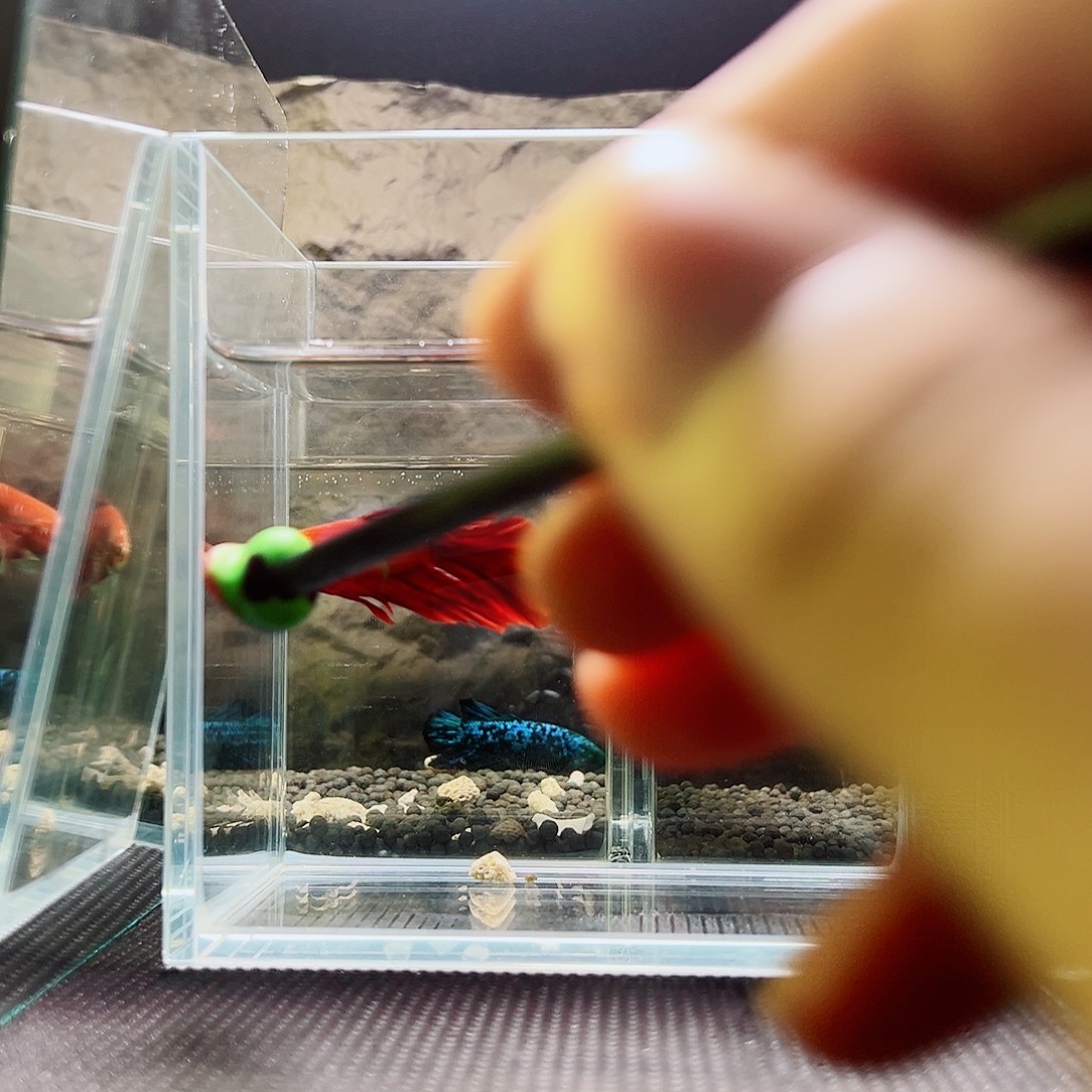 斗鱼精品精品精品精品